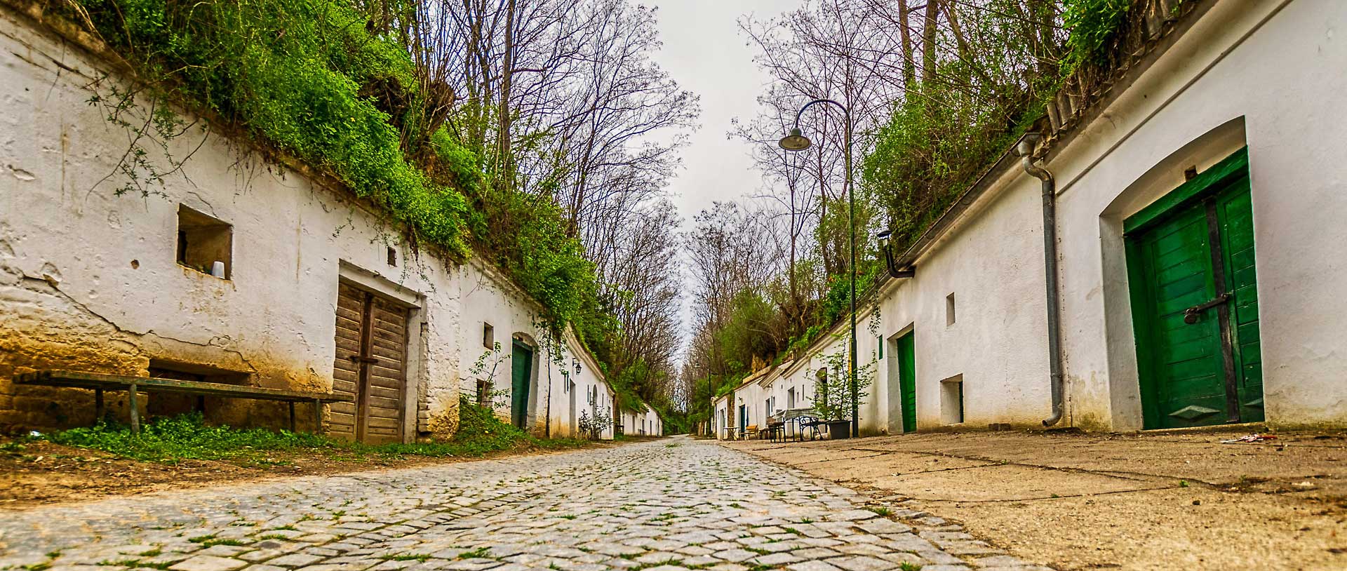 Kellergasse Radyweg in Poysdorf